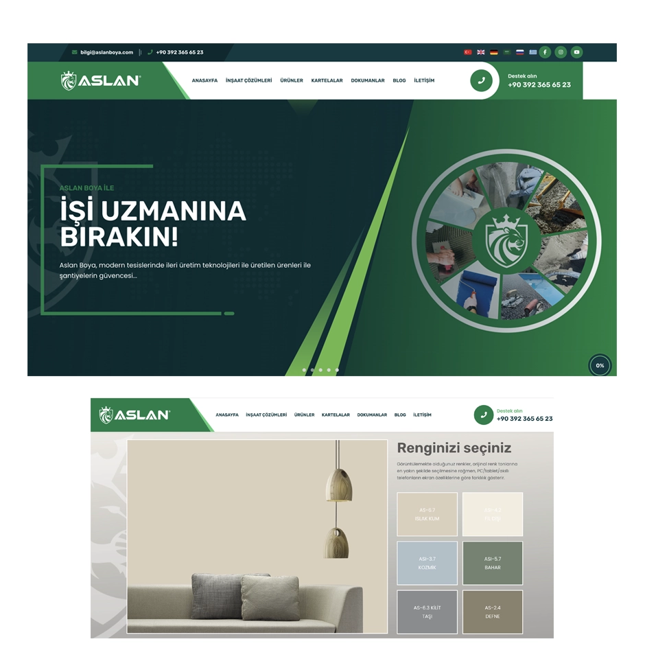 Aslan Boya  Web Sitesi