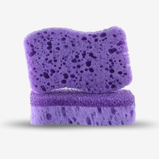 Viola