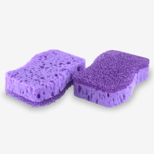 Viola